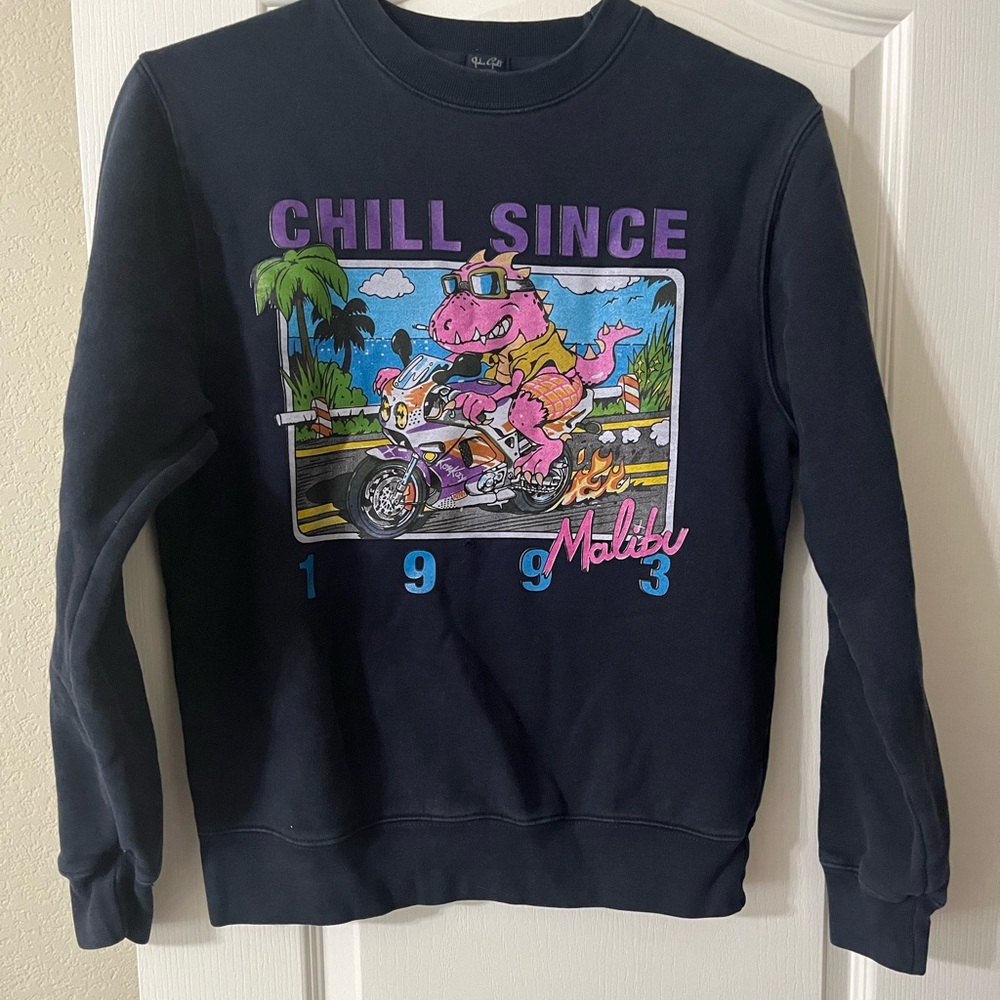 Brandy Melville Navy Sweatshirt